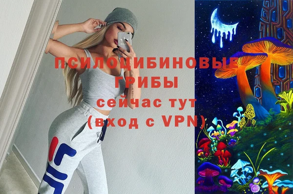 PSILOCYBIN Аркадак