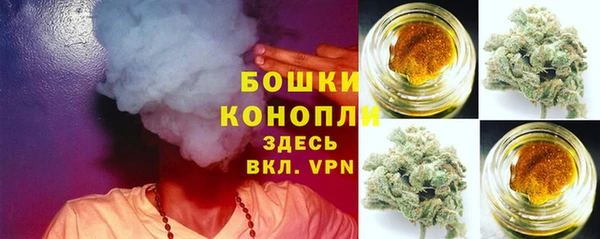 PSILOCYBIN Аркадак